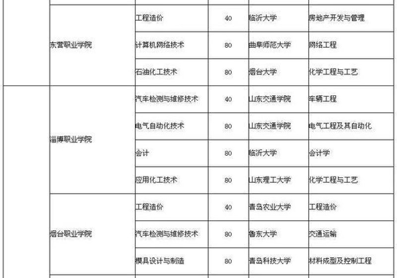 软件开发行业的风云变幻:一场技术变革之旅